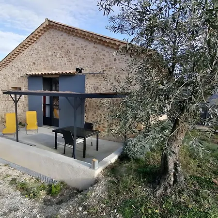 Apivita